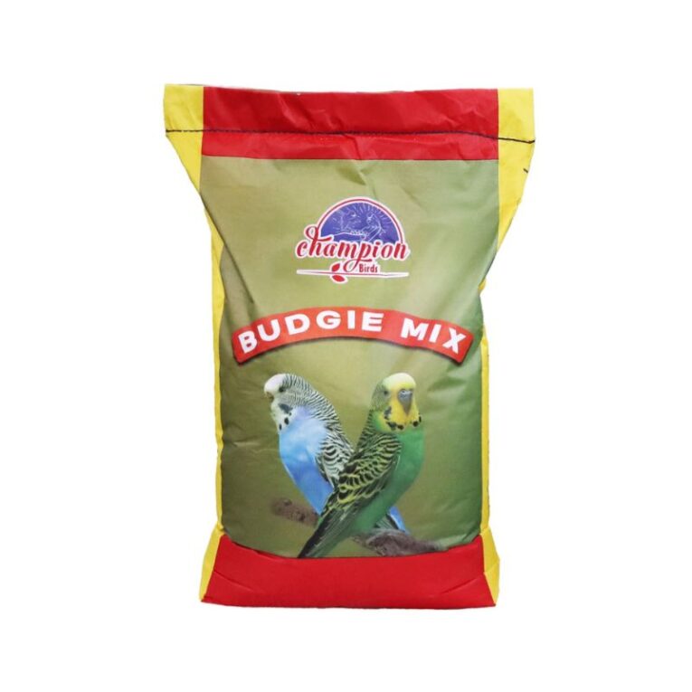 BUDGIE MIX