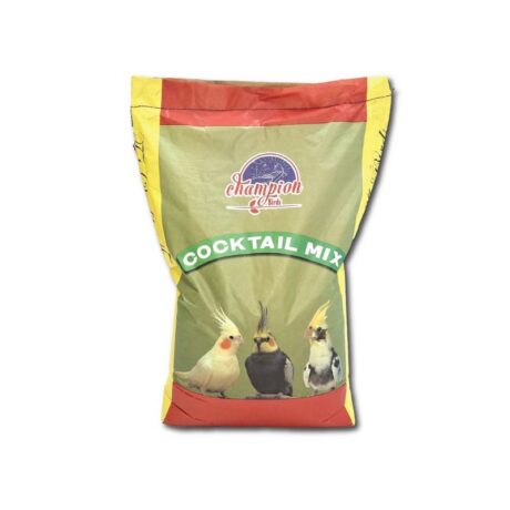 Cockatiel Mix