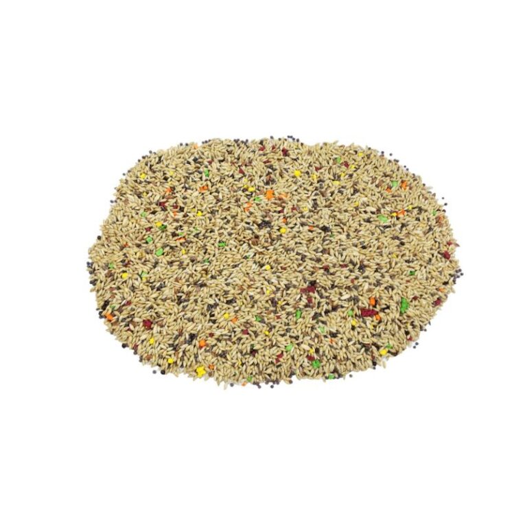 Canary Product