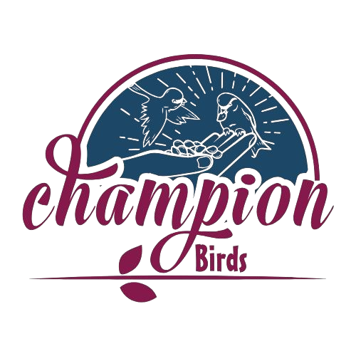 Champion logo