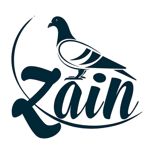 Zain logo