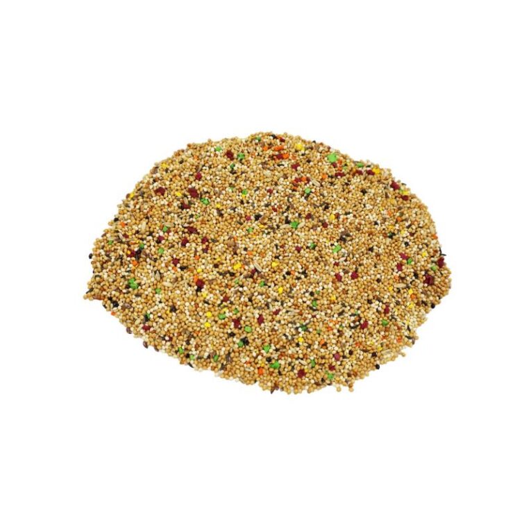 budgie product