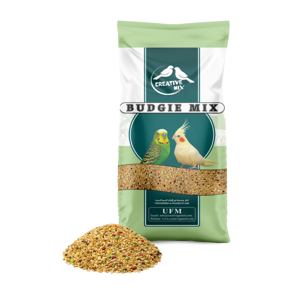 Creative Budgie Mix
