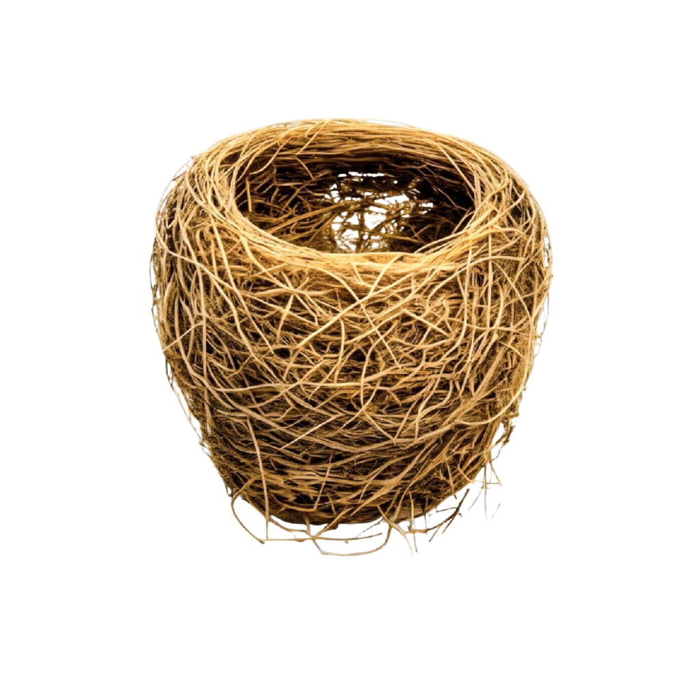Golden Fiber Nest