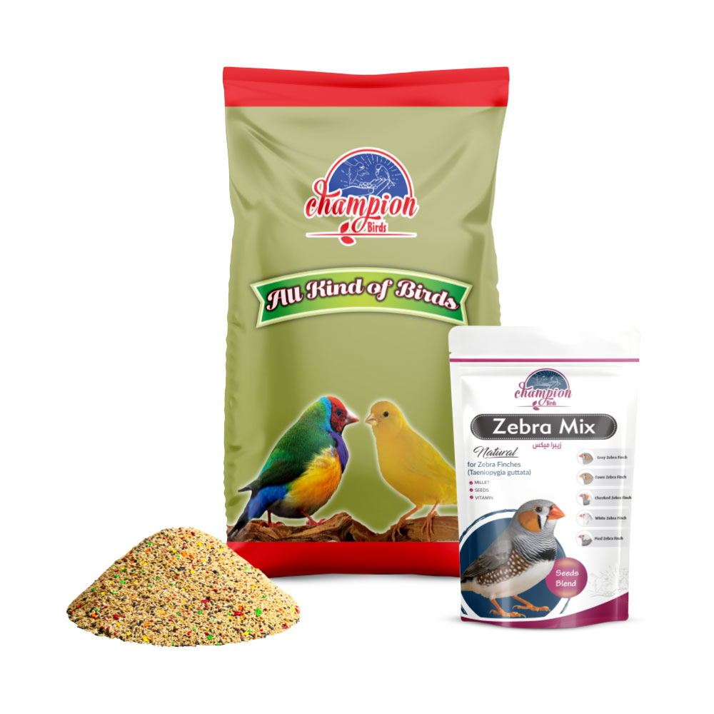 Champion Zebra Finch Mix