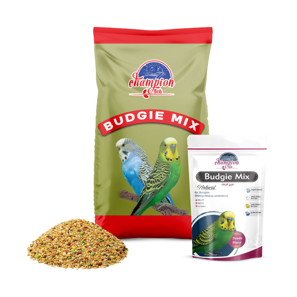 Champion Budgie Mix
