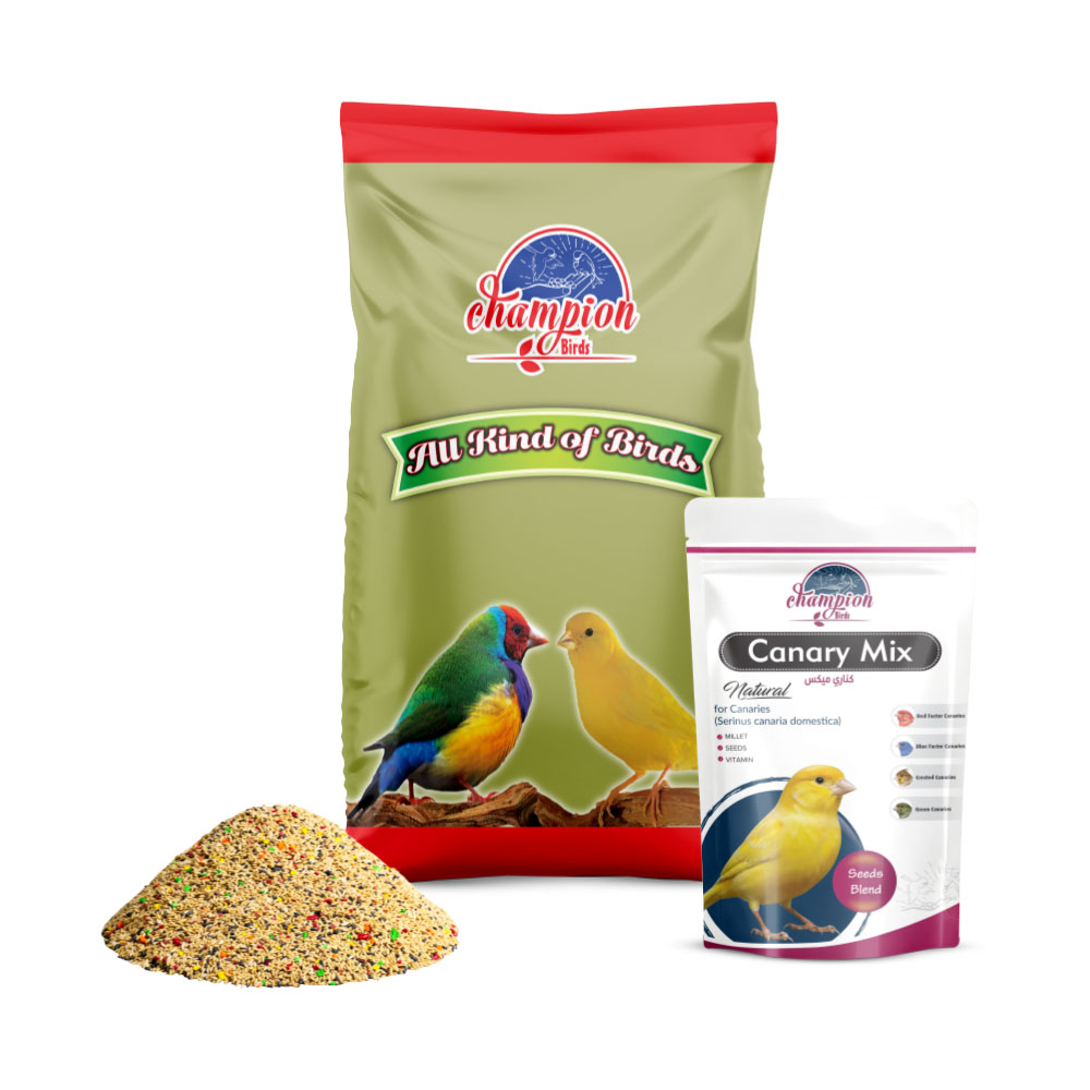 Champion Canary Mix