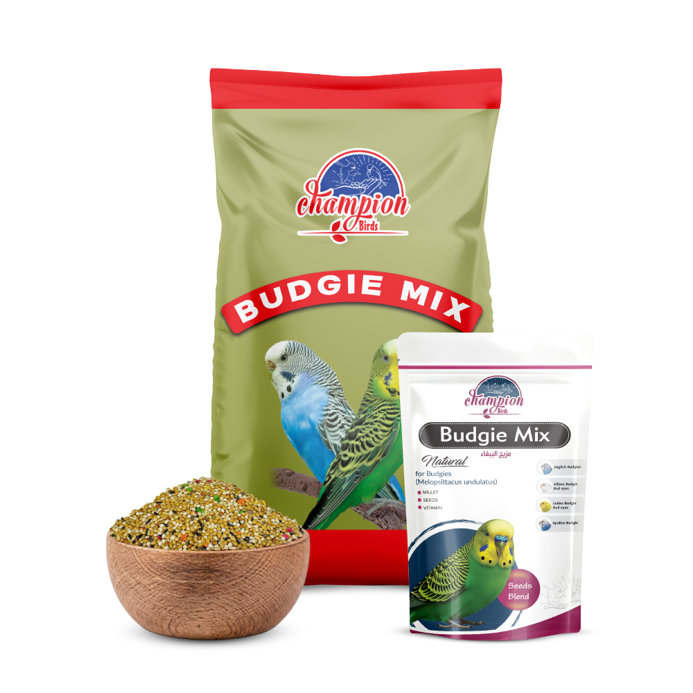 Champion Budgie Mix