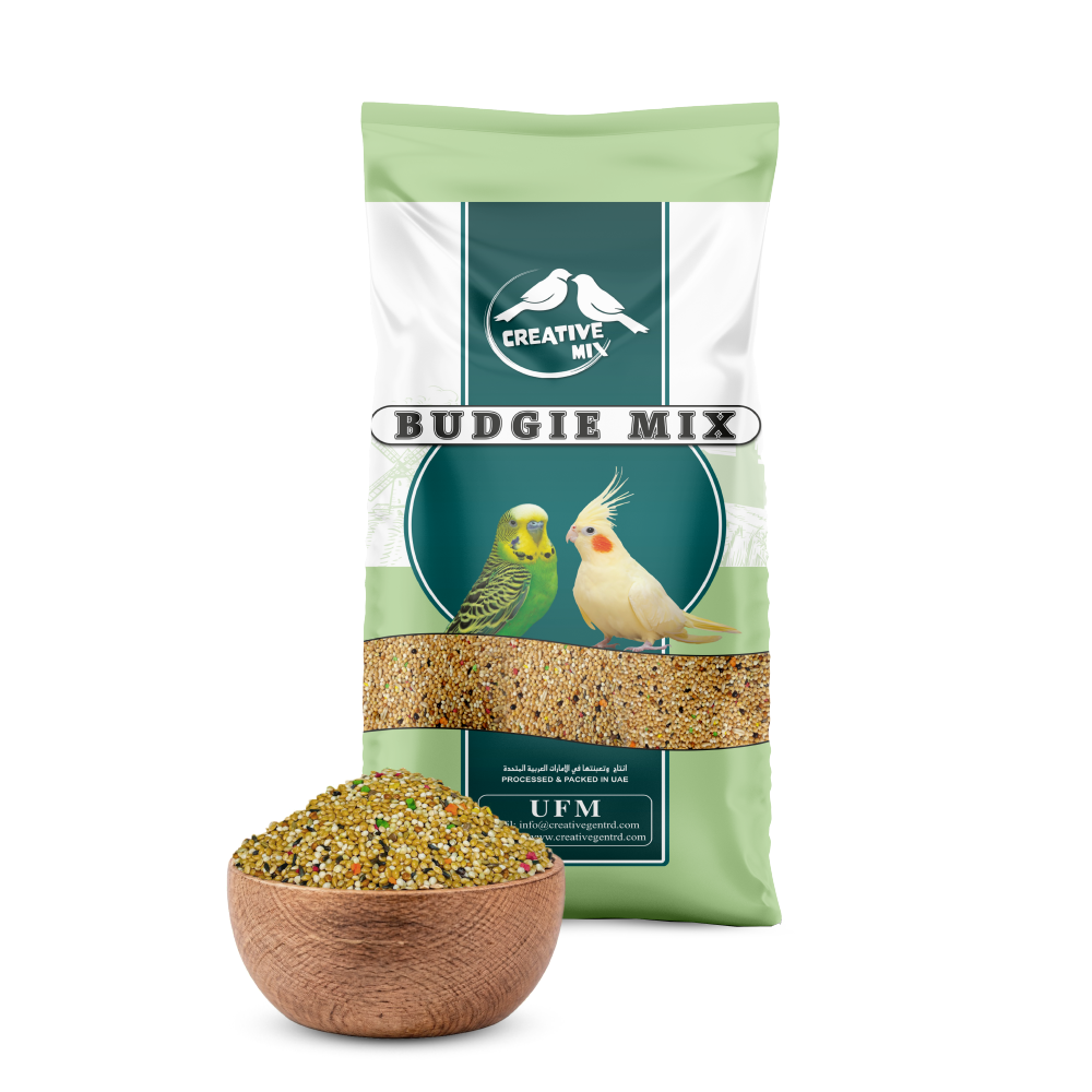 Creative Budgie Mix