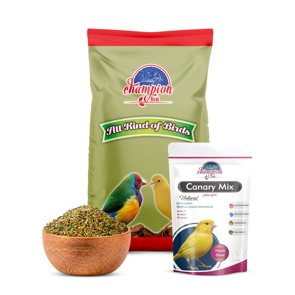 Champion Canary Mix
